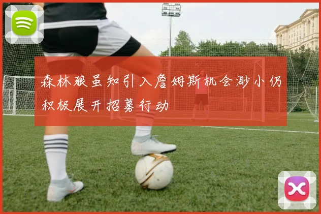 森林狼虽知引入詹姆斯机会渺小仍积极展开招募行动