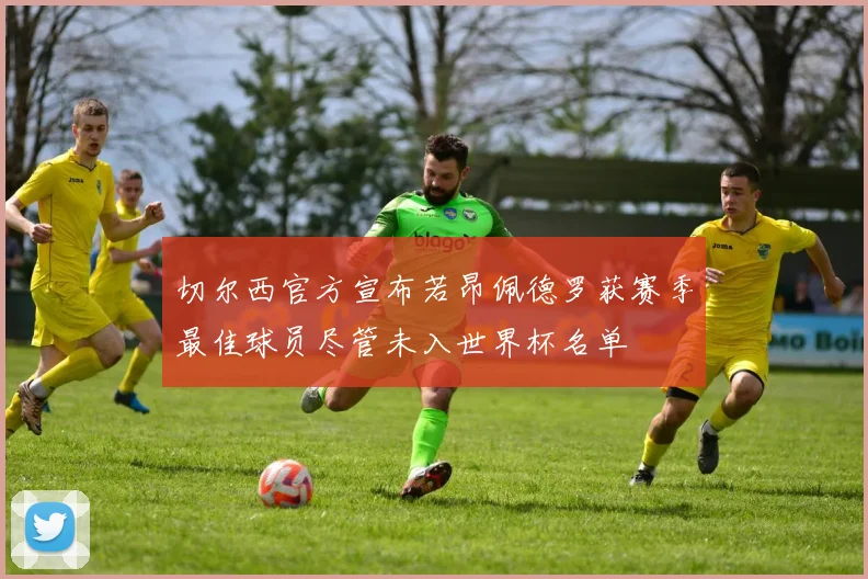 切尔西官方宣布若昂佩德罗获赛季最佳球员尽管未入世界杯名单